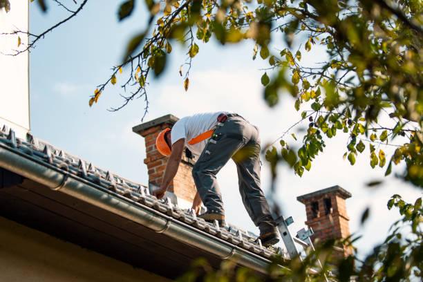 Best Metal Roofing Contractor  in Bedford, IA